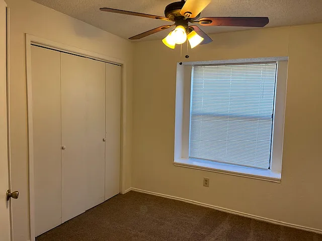 5933 Inks Lake Dr — Photo 9