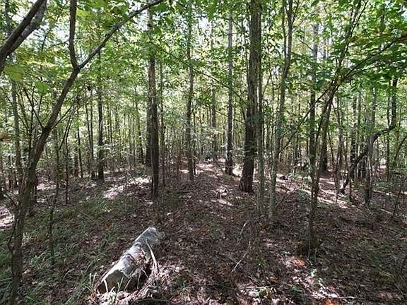 2nd image of Lee Road 379