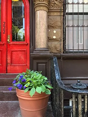 Rented by Corcoran | media 10