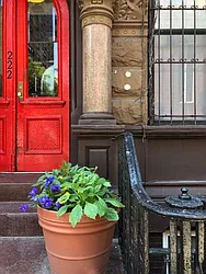 Rented by Corcoran