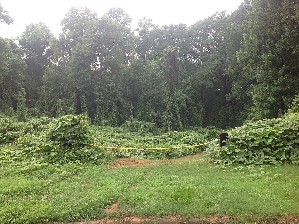 1st image of Huntsman Ct Lot 6