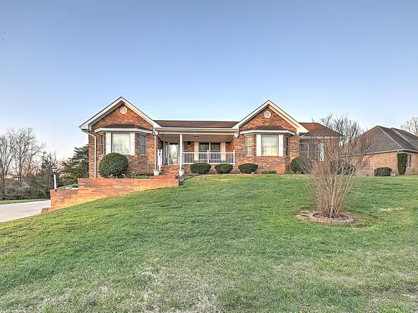 115 Lee Shelton Ln, Afton, TN 37616