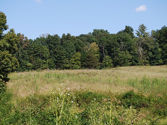 4th image of 621 Lower Rockwood Rd Lot 3