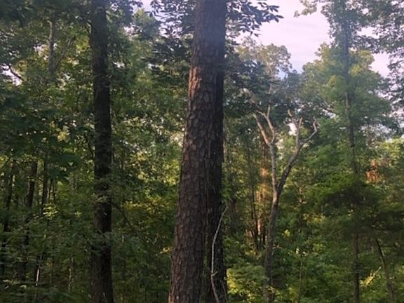 2nd image of Hornsby Deberry Ln