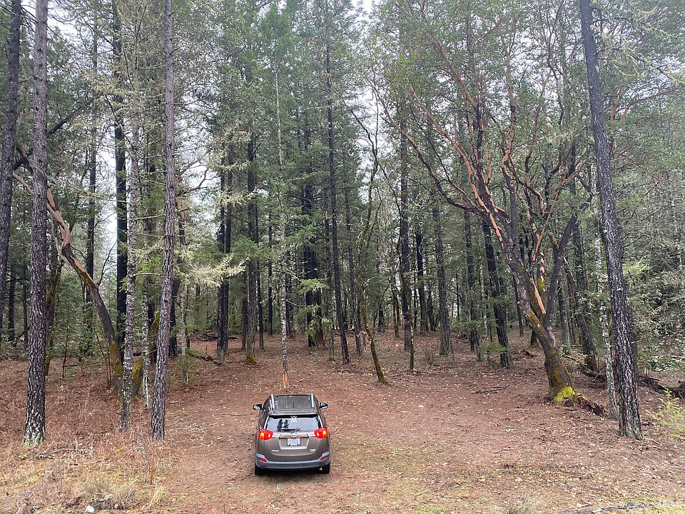 2nd image of 31 Paradise Ranch Loop Rd