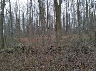 37 Irwin Rd LOT 37, Sterling, NY 13156