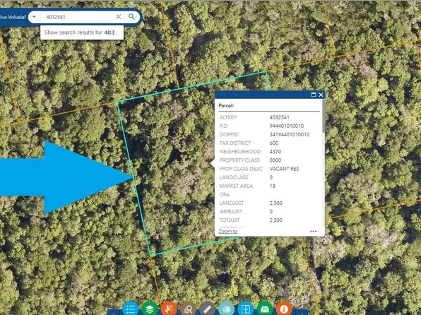 0 Street Access, Oak Hill, FL 32759