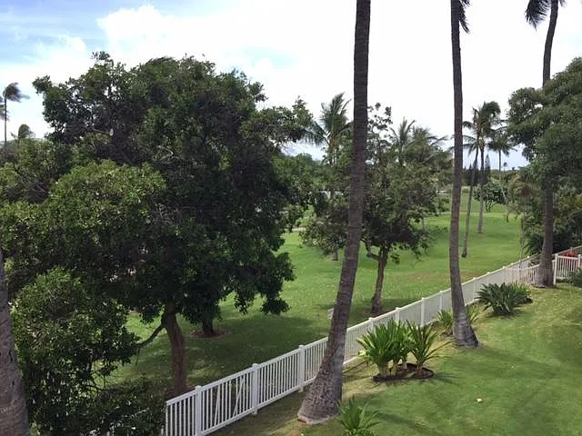 Aliinui Dr — Photo 15