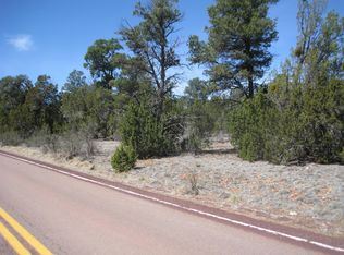 2901 Buckskin Rd, Overgaard, AZ 85933