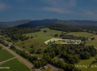 LOT 1 Pig Trot Rd, Newport, TN 37821