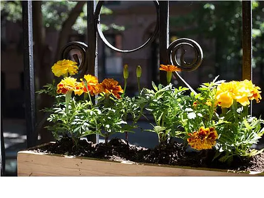 Sold by Realmart Realty LLC | media 17