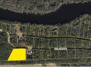 454 NE Laurie Ln, Mayo, FL 32066