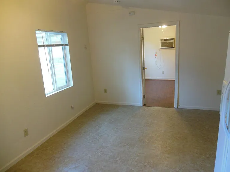 Palm Ave — Photo 2