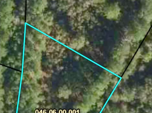 0 State Highway 39, Williston, SC 29853