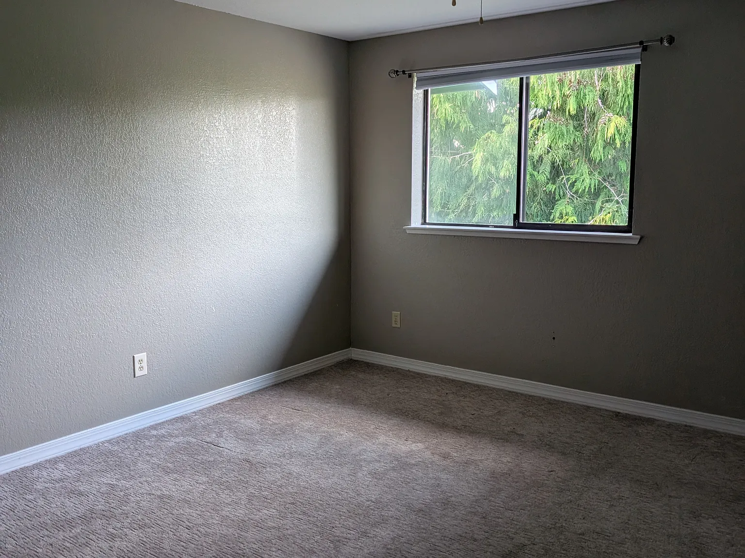 2 bed, 1.5 bath, 1200 sqft, $2,000 — Photo 2