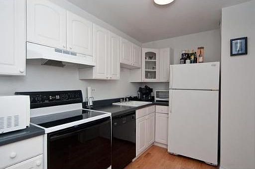5th image of 1560 N Sandburg Ter #2909J
