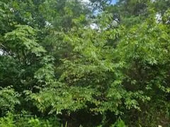 52 Thornblade Way, Blue Ridge, VA 24064