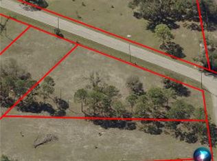 17750 Parkinson Rd, Alva, FL 33920