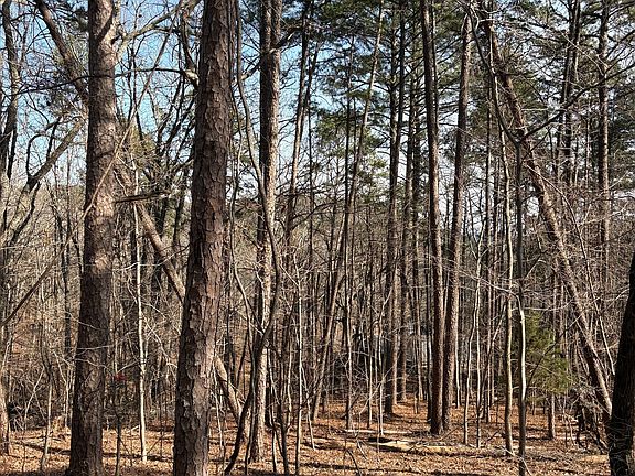 2nd image of 0 Radio Springs Rd SW