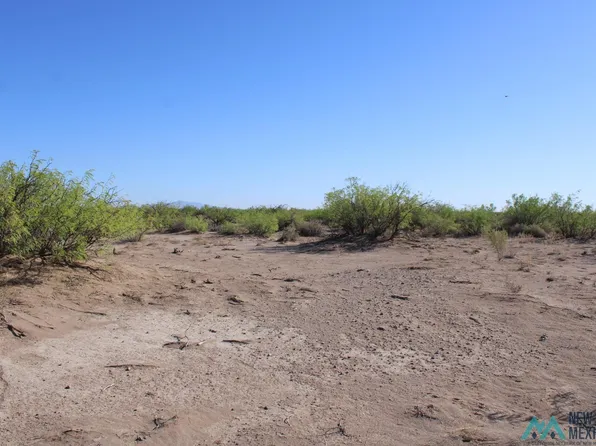 Apio Rd SW, Deming, NM 88030