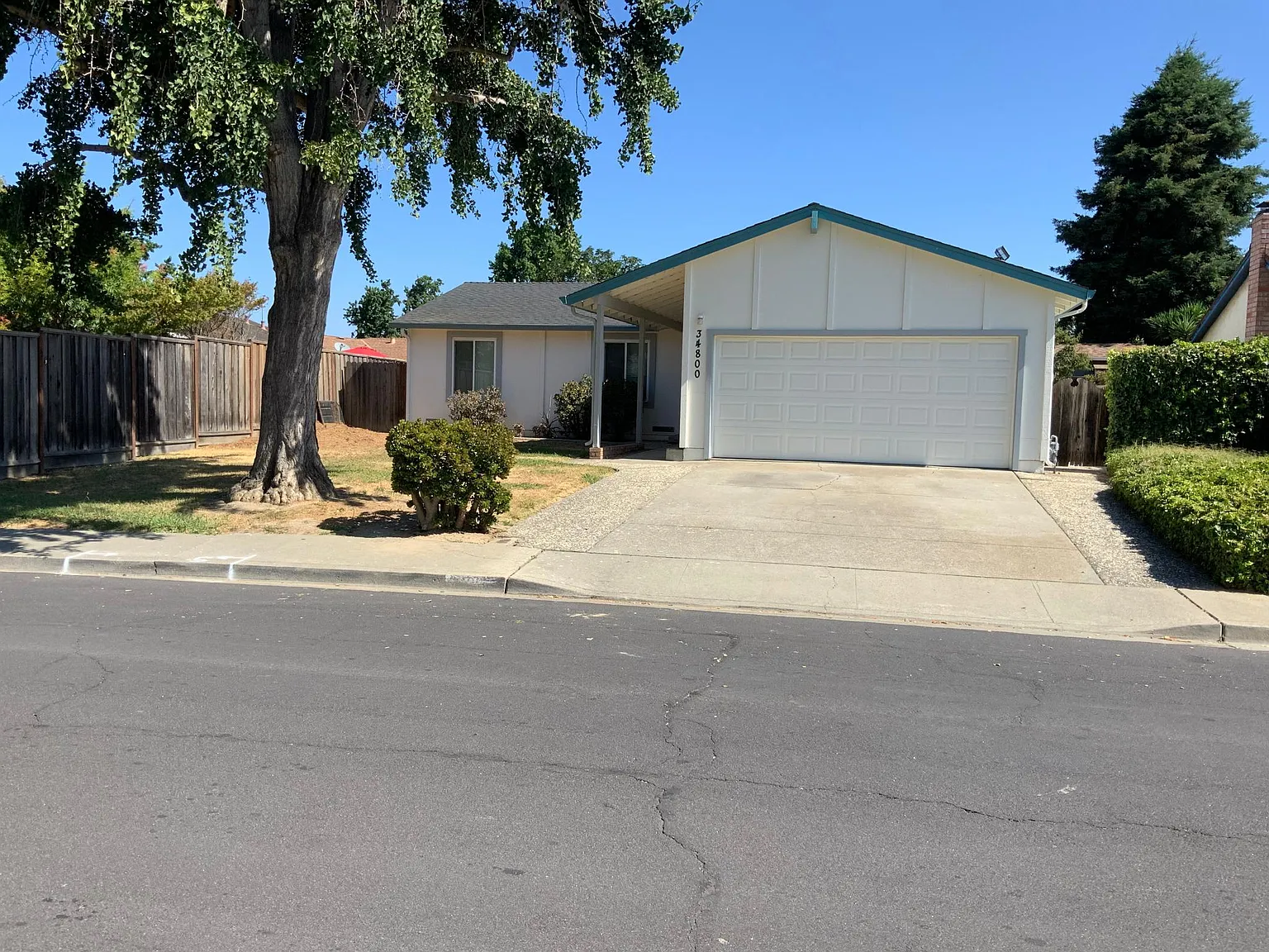 34800 Hollyhock St photo 1