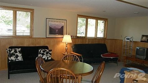 Lower Level Family Room 3
