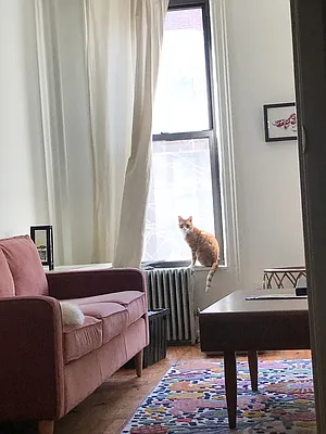 Rented by Level Group | media 12