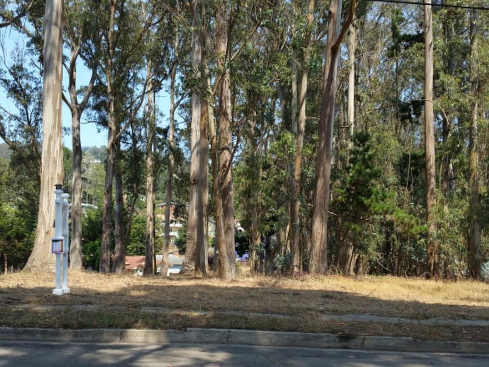1st image of Balboa Ave