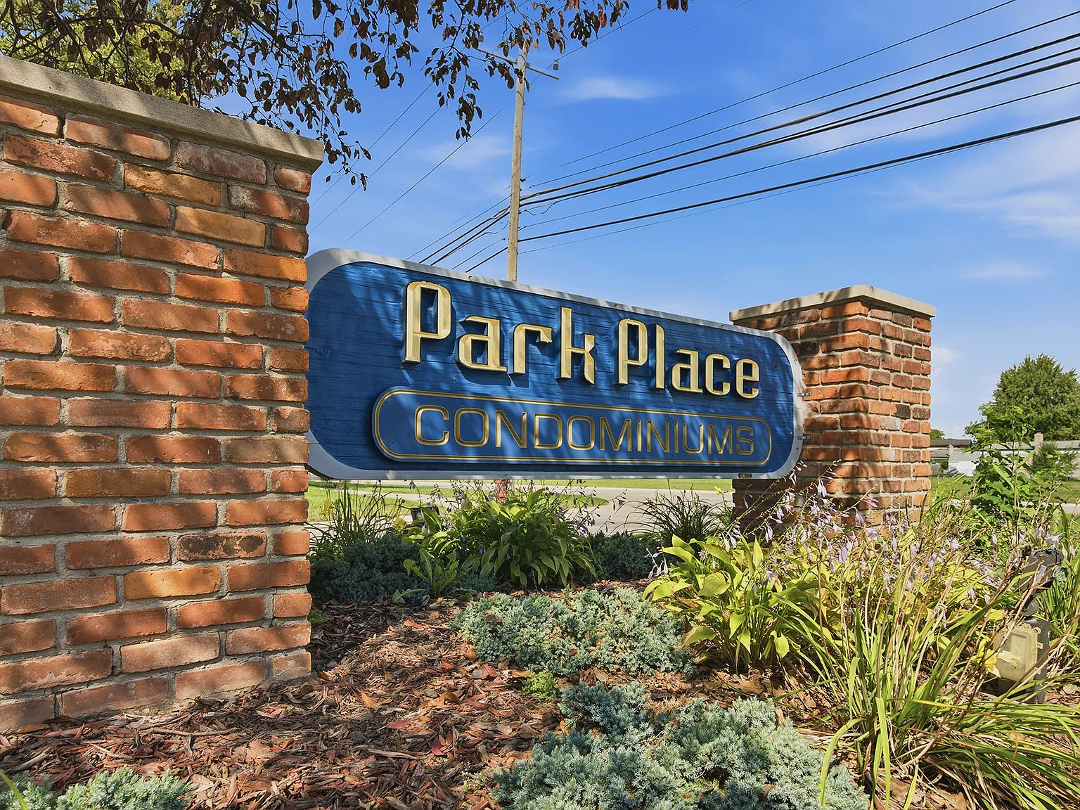 36511 Park Place Dr — Photo 4