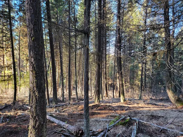 Lundimo Meadow Rd, Curlew, WA 99118