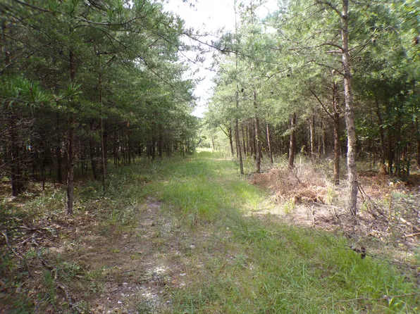 0 Goforth Rd #5/6, Spencer, TN 38585