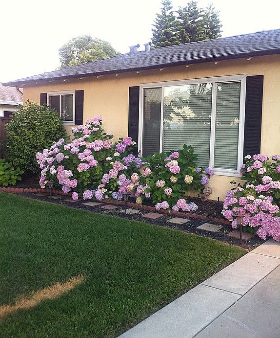 1st image of 1152 Lily Ave