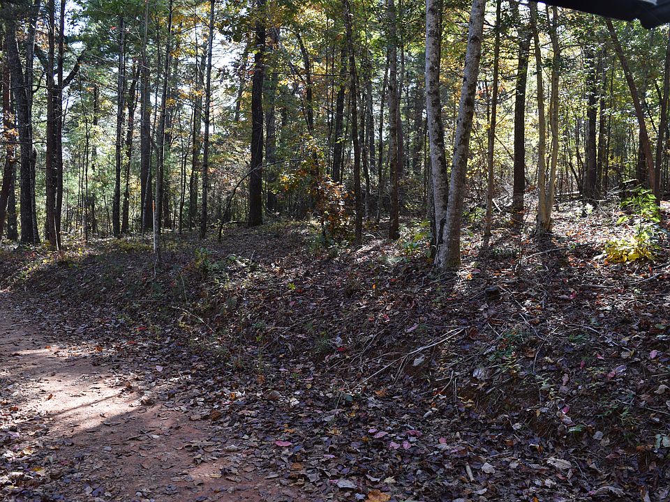 2nd image of 756 Nimblewill Creek Rd