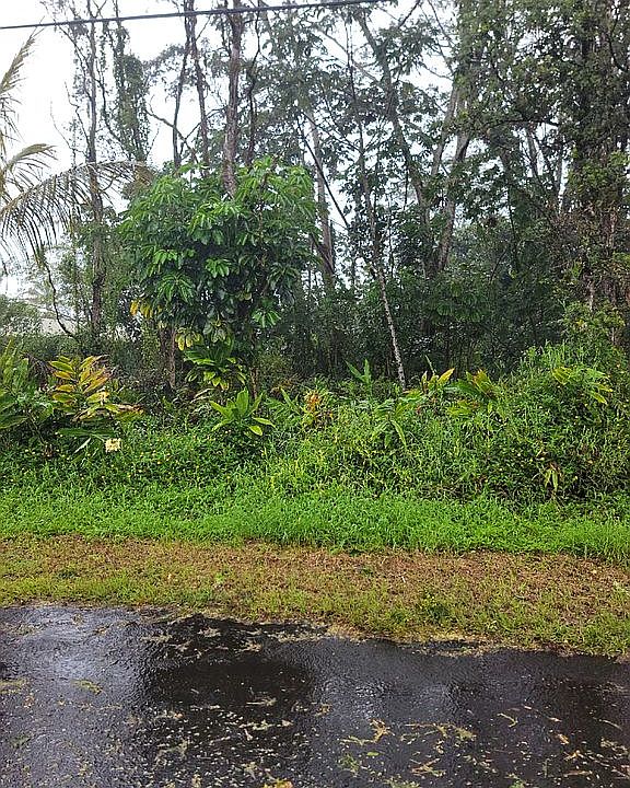 1st image of 16-2061 Coconut Dr