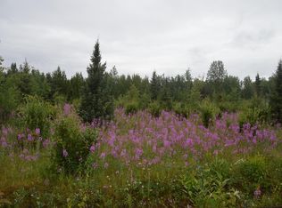 L35 Skylark Dr, Soldotna, AK 99669