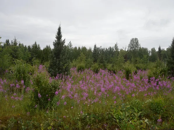 L35 Skylark Dr, Soldotna, AK 99669