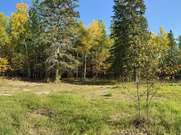 36719 State Highway 65, Nashwauk, MN 55769