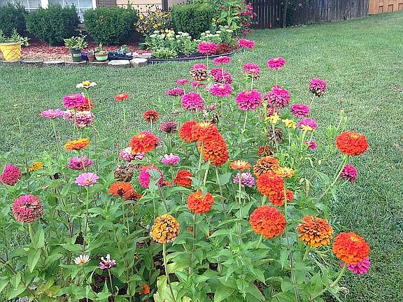 Beautiful garden all around 