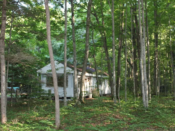 8606 Elk Ln NE, Mancelona, MI 49659