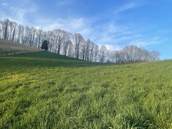 Call Valley Rd, Swords Creek, VA 24649