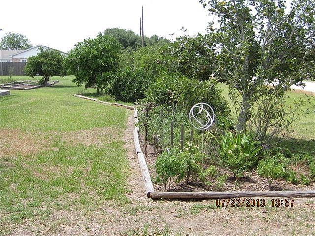 ROW OF CITRUS TREES IN FRONT YARD