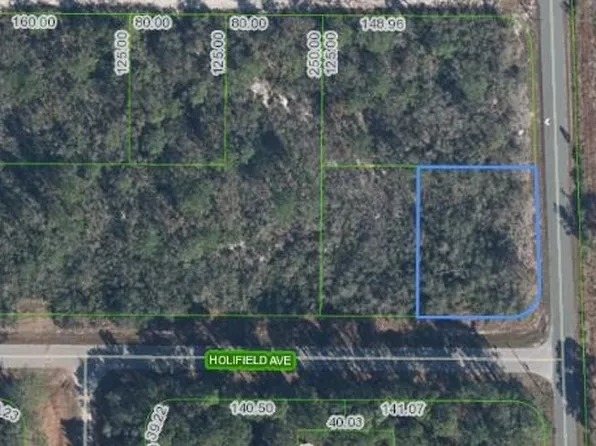 3101 Holifield Ave, Lake Placid, FL 33852