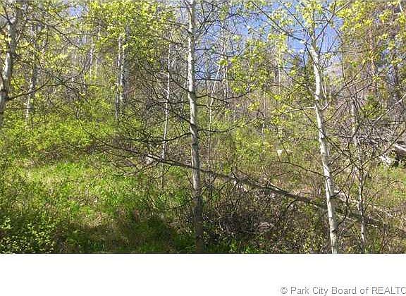 5th image of 91 Riverview Dr #91A