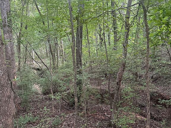 2nd image of Tommy Lee Cook Rd