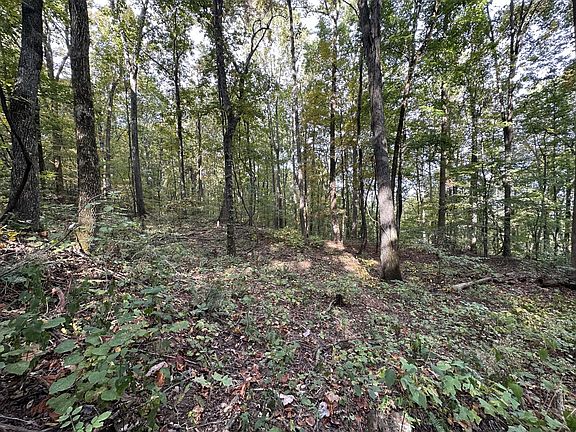 2nd image of 0 Fox Ridge Road