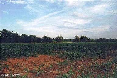5th image of Longmarsh Rd NW #Land