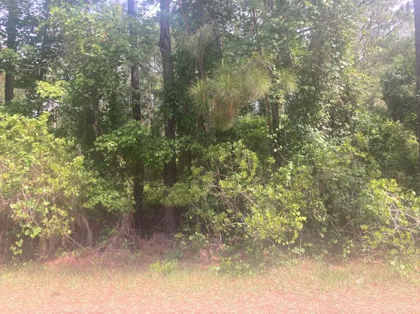 230 Palm Way, Georgetown, FL 32139