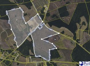 Old Manning And Trifalia, Scranton, SC 29591