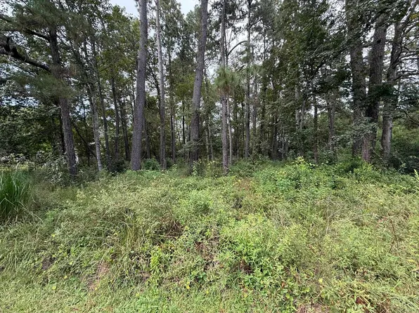 LOT 14 Ironwood St, Vidor, TX 77662