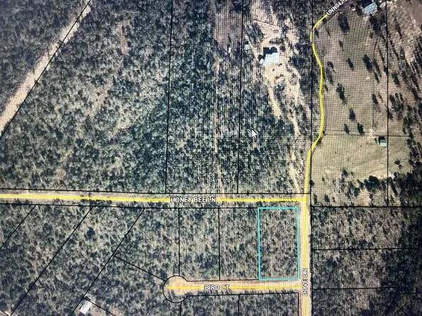 Bird Ct Lot 15, Marianna, FL 32448
